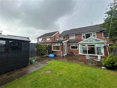Picture 20